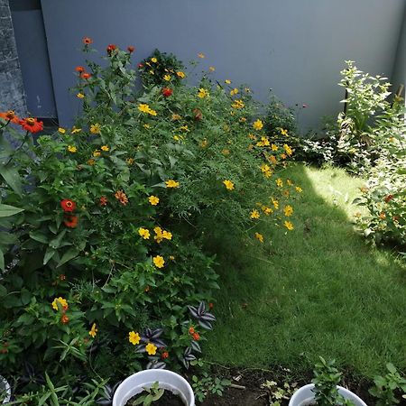 Aashiyana Home Stay Bhopal Dış mekan fotoğraf